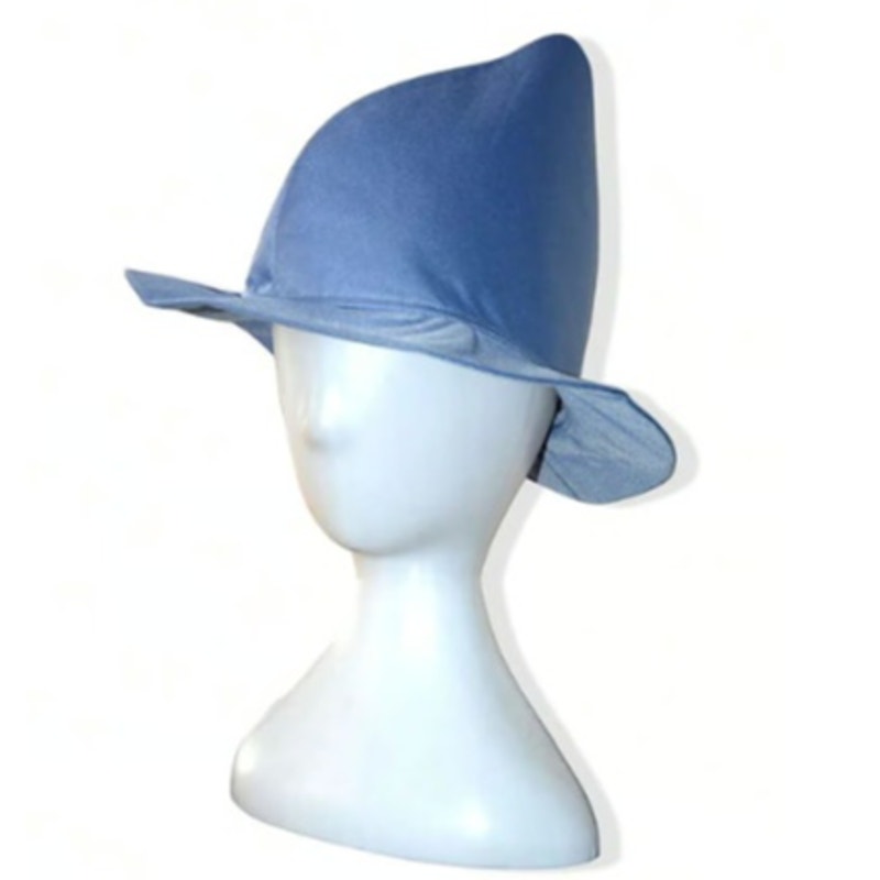 Fleur Delacour - Beauxbatons Harry Potter Halloween Costume Set