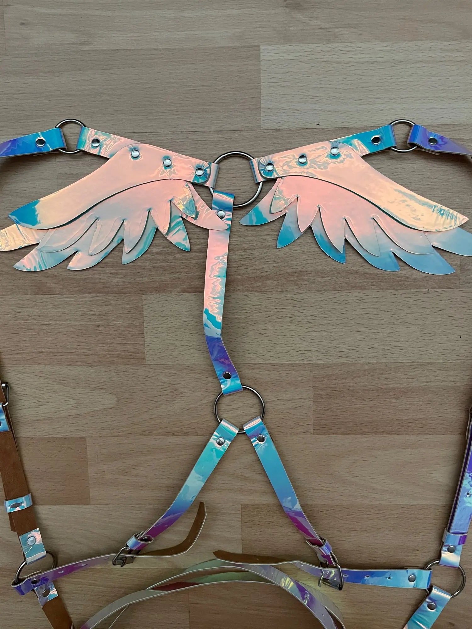 Customer photo - harness straps and wings
