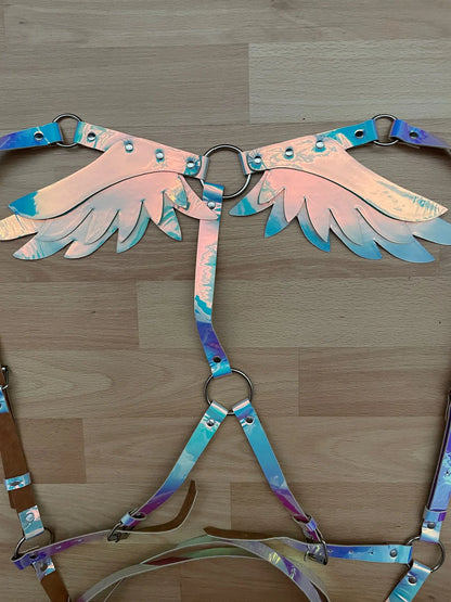 Customer photo - harness straps and wings