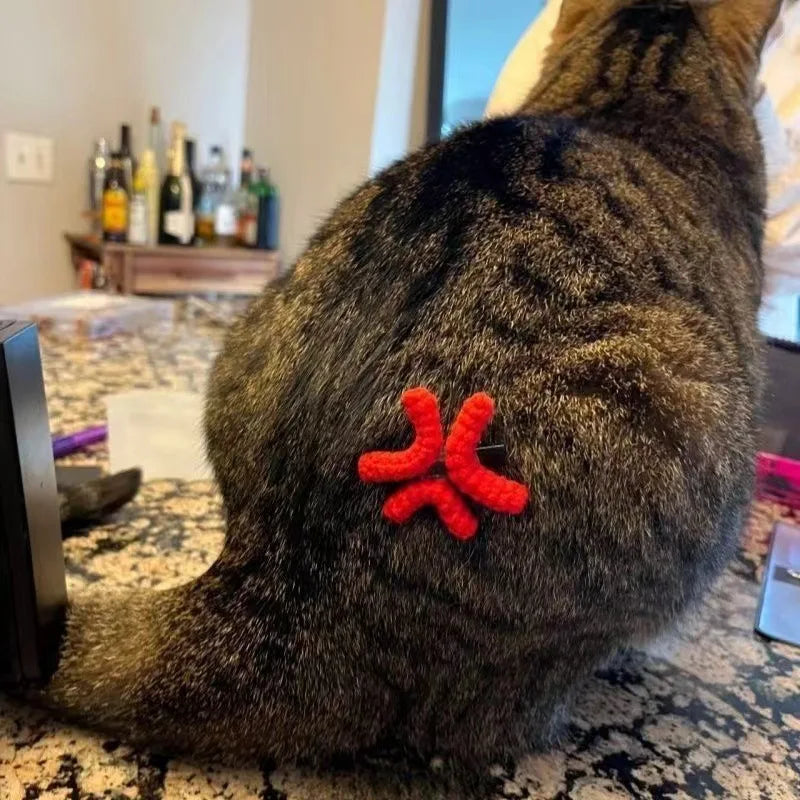 Anger mark clip worn by a cat